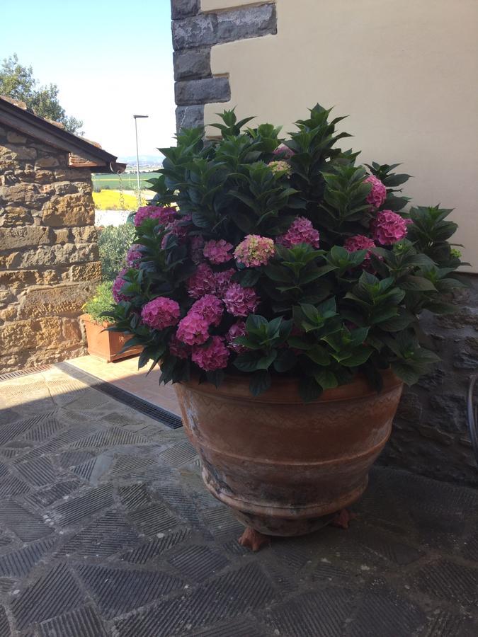Agriturismo Borgo Tra Gli Olivi Кастильон-Фьорентино Экстерьер фото