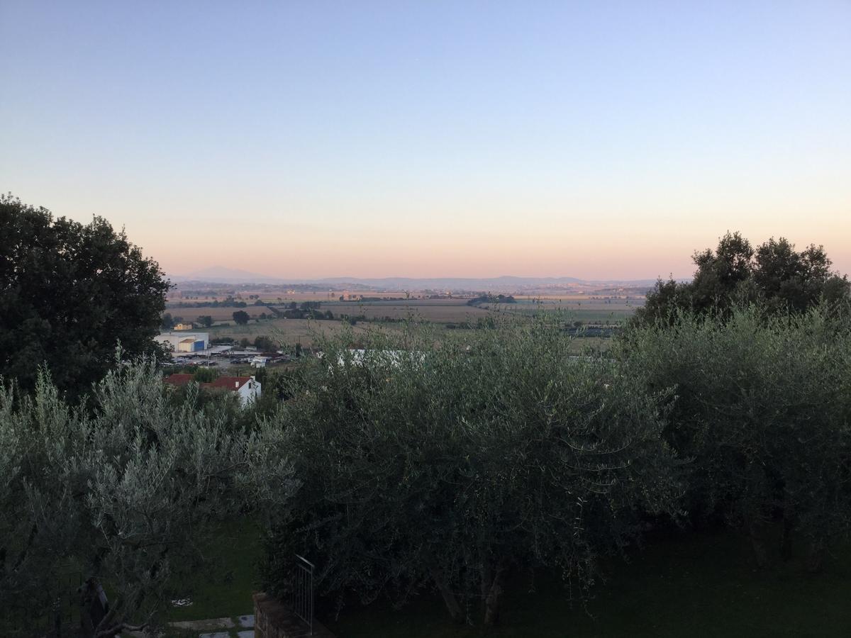 Agriturismo Borgo Tra Gli Olivi Кастильон-Фьорентино Экстерьер фото