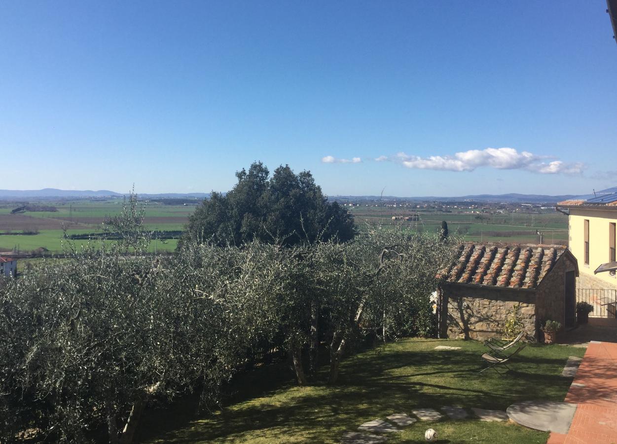 Agriturismo Borgo Tra Gli Olivi Кастильон-Фьорентино Экстерьер фото